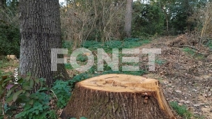 Apel za sprečavanje požara